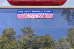 PXL_20231007_182135294