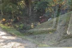 PXL_20231007_202520227