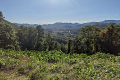 PXL_20231007_205033005