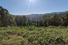 PXL_20231007_205038060