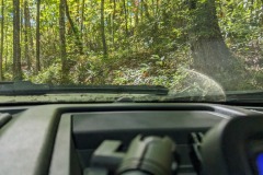 PXL_20231008_163853075.MP_