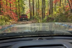 PXL_20231008_164430100