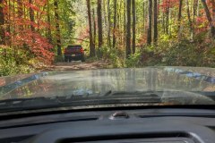 PXL_20231008_164432746